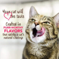 TropiClean Enticers Honey Marinated Chicken Flavor Teeth Cleaning Gel For Cats -Peticlean Shop qw4pcjuun9vkpe4dakxz