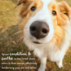 TropiClean Baby Powder Deodorizing Spray For Pets 15 TropiClean Baby Powder Deodorizing Spray For Pets -Peticlean Shop r3yrwrvujak6cxfxn15v 0667236e 412d 40ff ad56 ea0f91b1c0ec