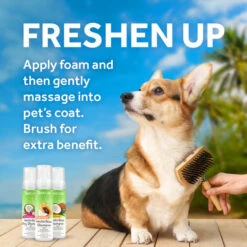 TropiClean Gentle Coconut Hypoallergenic Waterless Shampoo For Pets -Peticlean Shop skcarwpvkk8ktzmla8pc 2d3480c2 aac0 4fd8 928b 113580ec525e