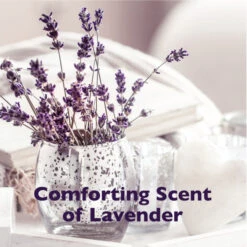 SPA By TropiClean Lavish White Coat Shampoo For Pets 13 SPA By TropiClean Lavish White Coat Shampoo For Pets -Peticlean Shop tpdji1otp0tecoabyq7l