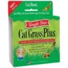 CAT A'BOUT CAT GRASS PLUS TUB -Peticlean Shop unnamed 4b8dc977 9a83 4d85 8801 3a1b22b2cd0d