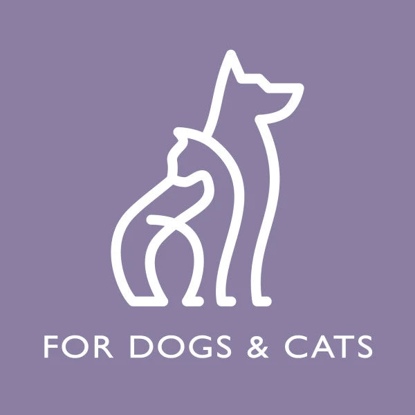 SPA By TropiClean Lavish For Him Shampoo For Pets 8 SPA By TropiClean Lavish For Him Shampoo For Pets - Image 6