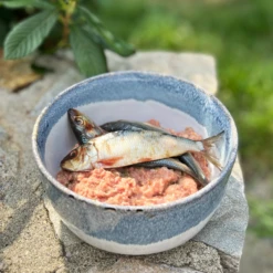 Oma's Pride Whole Sardines -Peticlean Shop wholesardines lifestyle2 20913.1660759270