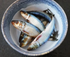 Oma's Pride Whole Sardines -Peticlean Shop wholesardines lifestyle4 45684.1660759333