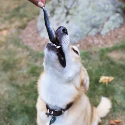 Oma's Pride Whole Sardines -Peticlean Shop wholesardines lifestyle5 98458.1660759328