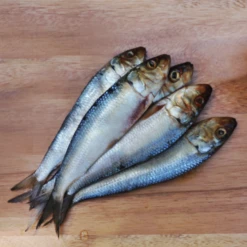 Oma's Pride Whole Sardines -Peticlean Shop wholesardines lifestyle8 19431.1660759266