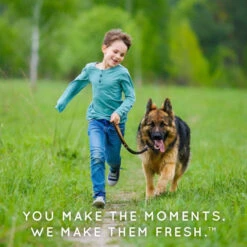 TropiClean Natural Flea & Tick Home Spray -Peticlean Shop wrsyshxpninzxyr9tmzy de0dd717 413f 438b 8a0b 5853737c42b3